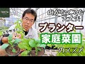 【家庭菜園】プランターで野菜を育てよう！【ブリーダー解説】