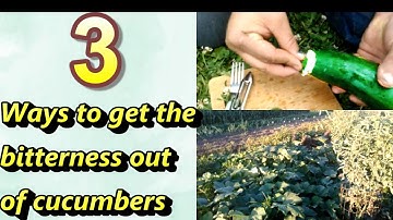How to get the bitterness out of cucumbers and garden update.