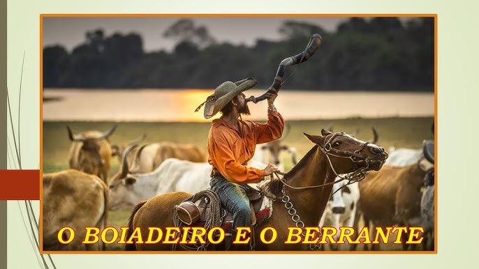 boiadeiros #gado #tropa #fy #berrante #berranteiro #boiadanaestrada