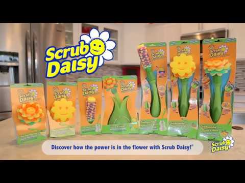  Scrub Daddy 700BH8CT Scrub Daisy Dishwand System