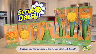  Scrub Daddy 700BH8CT Scrub Daisy Dishwand System-Scratch Free  and Odor Resistant Head with Soap-Dispensing Wand and Self-Draining  Base-The Hyacinth Bottle & Glass Scrubber, Hyacinth Wand