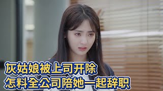 【Movie】Cinderella fired by boss, yet all coworkers resigned with her!