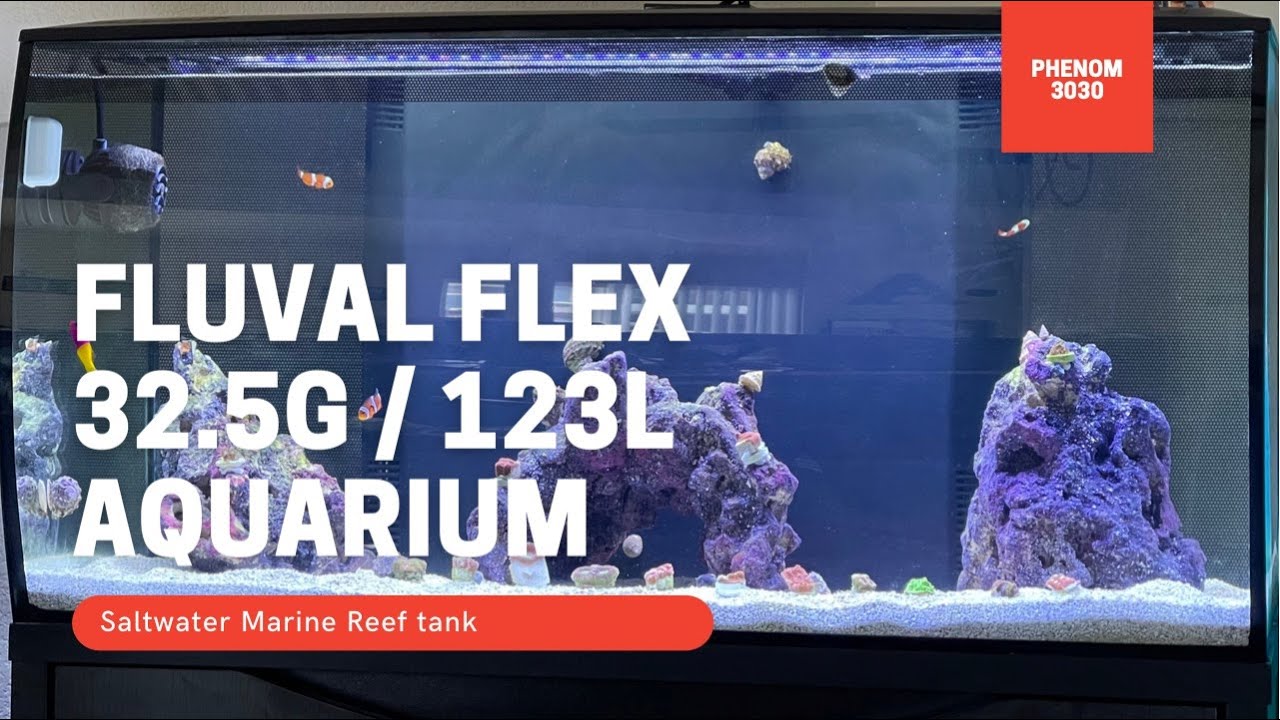 Fluval Flex 32.5g  123L Saltwater Marine Reef tank aquarium