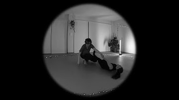 A Daedalic Mind (a #Baltrum25 videoclip)