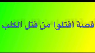 ‏480- قصة أقتلوا من قتل الكلب