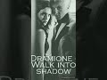 dramione- Kapitel 6 walk into shadow