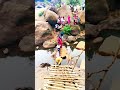 Tarabu waterfall trip