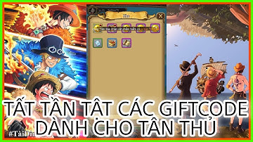 Hải Tặc Mobile | Tất tần tật các giftcode dành cho tân thủ và hướng dẫn nhập code