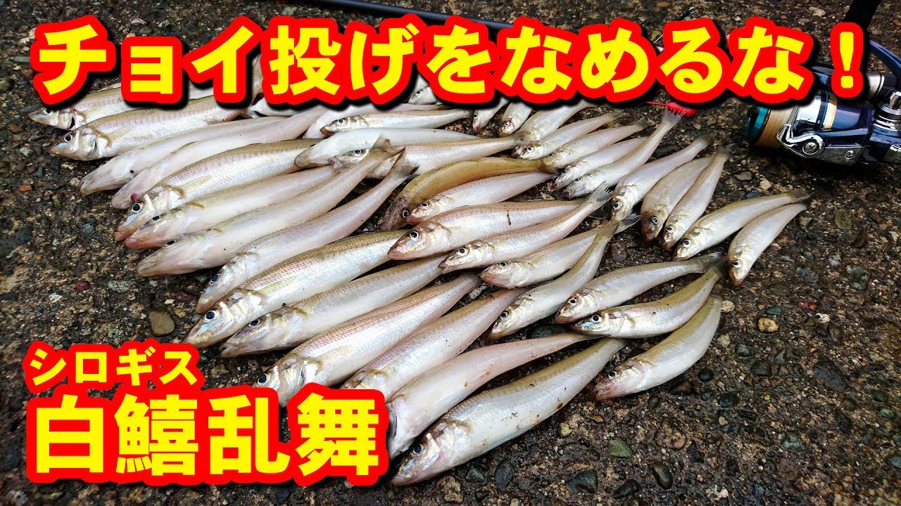 浜名湖に釣りに行こう おすすめのポイントや釣れる魚種の釣り方を解説 暮らし の