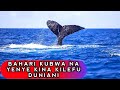 Fahamu Bahari Yenye Kina Kirefu Duniani Na Kubwa Kuliko Zote|Fahamu Dunia Kwa Kiswahili.