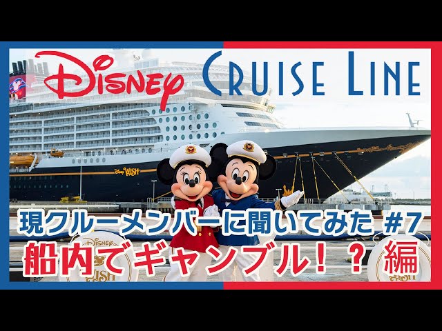 DCL】フォトパッケージについて現クルーメンバーに聞いてみた