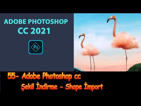 55- Adobe Photoshop cc Dersleri - Sekil İndirme - Shape İmport