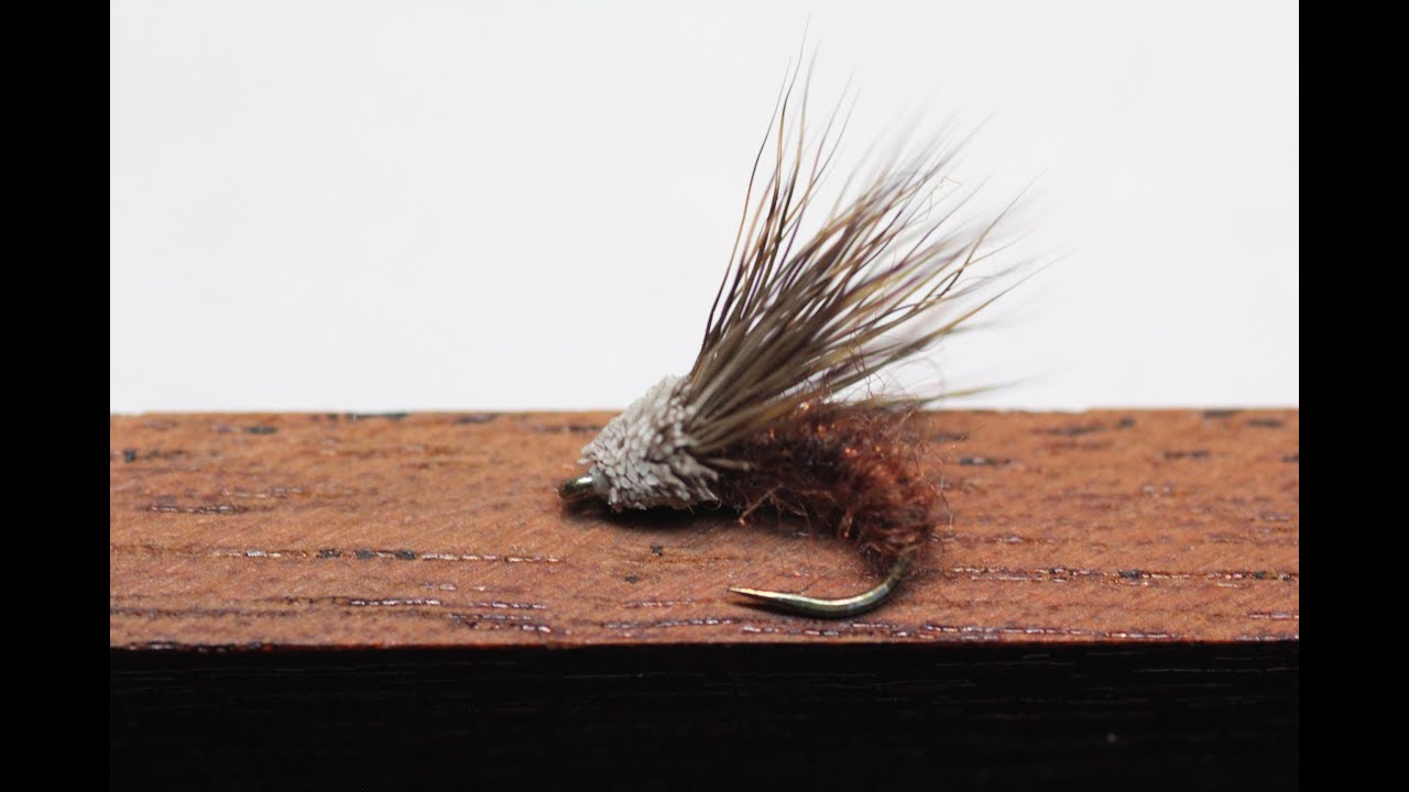 Streaking Caddis (Dry Fly)