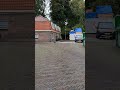 Dutch wildlife   #utrecht #wildlife #ontheloose   #peacock
