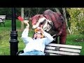 Epic Real Life Dinosaur Hidden Camera Practical Joke