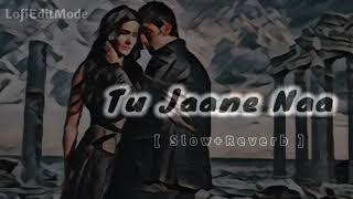Tu Jaane Na Slowed Reverb | Atif Aslam | Ranbir Kapoor, Katrina Kaif | Sad Song Reverb | 🎧BROKEN💔 |
