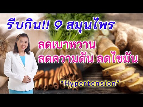 รู้หรือไม่ !! 9 สมุนไพรลดเบาหวาน ลดความดันสูง และลดไขมัน | Hypertension | พี่ปลา Healthy Fish