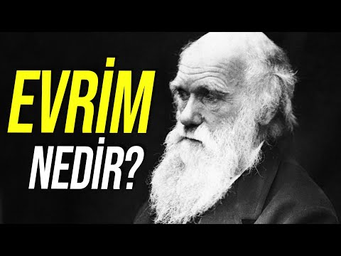 Video: Konut inşaatı için arsa nasıl alınır? Bir ev inşa etmek için bir arsa nasıl seçilir?