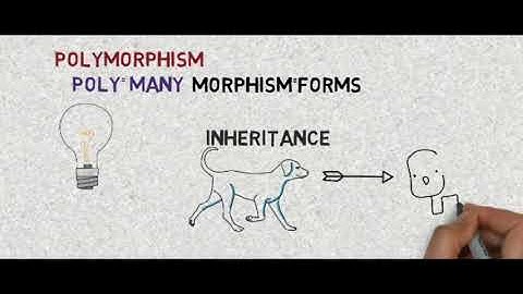 Java Tutorial For Beginners 13-inheritance and polymorphism with animation video