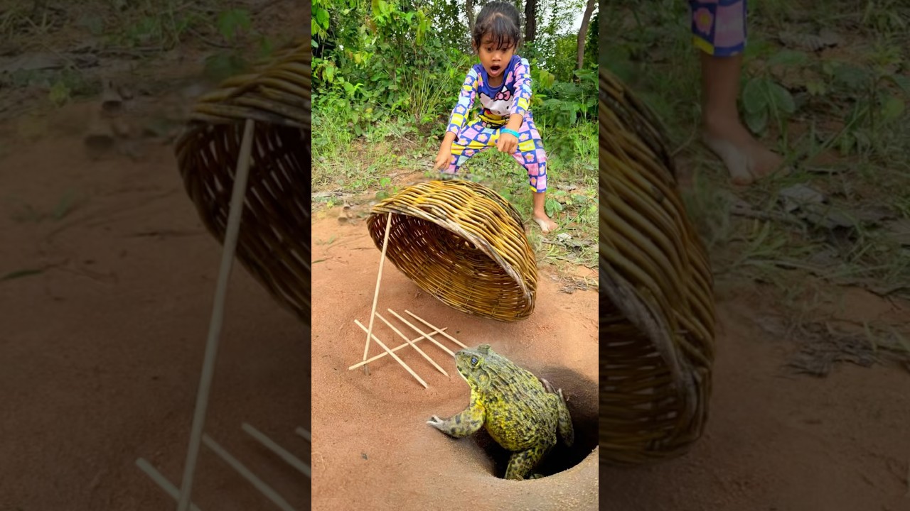 Survival Skills: SMART idea and USEFUL in Forest #bushcraft #camping #outdoor