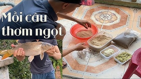 Cách làm mồi câu cá Chép, Trắm bằng củ khoai Lang và củ Sắn luộc | Thử nghiệm mồi luôn và có kết quả