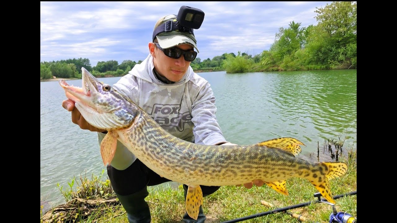 Csuka pergetés bányatavon