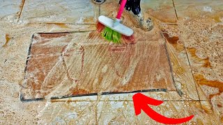 RESCUING a FLOODED RUG! Satisfying Carpet Cleaning