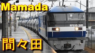 Series 185 limited express Tochigi & freight train