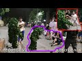 Bushman prank ViệtNam/Funny Video/LBSV/How will the cute boys who meet the tree react?/Boy đẹp trai