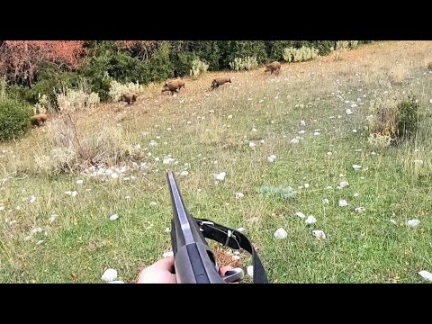 Βίντεο: Πώς να αγκυροβολήσετε