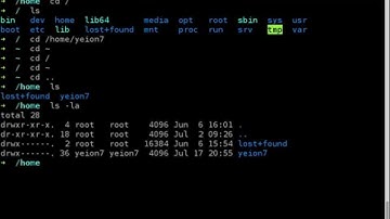 Como usar comando el cd en linux, moverse entre directorios