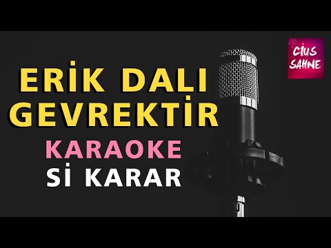 ERİK DALI GEVREKTİR Karaoke Altyapı Türküler - Si