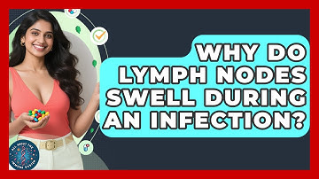 Why Do Lymph Nodes Swell During An Infection? - All About the Immune System