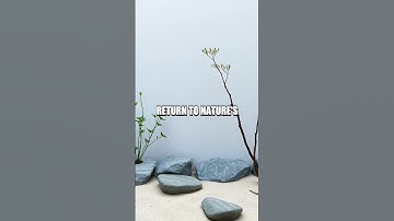 Freedom in Simplicity: Insights from Lao Tzu