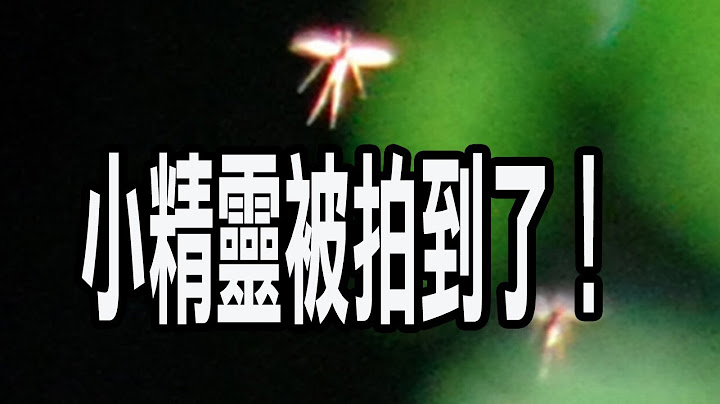 拍到了！現實世界中真的有「小精靈」。當有人告訴你，精靈是真實存在的，你會相信嗎？ - 天天要聞