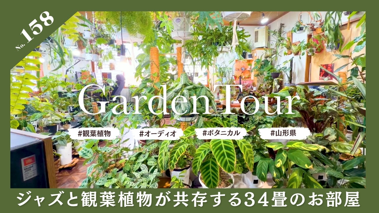 🕊Garden Tour🕊158: A 34-tatami mat Japanese-style room where jazz