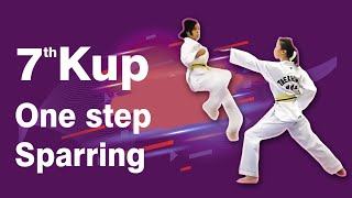 7th Kup Green Tag One Step Sparring