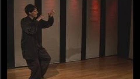 Kung Fu Fighting : Praying Mantis Low Circle Block Palm Strike