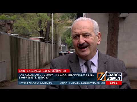 #BMG4BUSINESS - რამ განაპირობა ქართულ ბაზარზე ადგილობრივი ჩაის წარმოების შემცირება