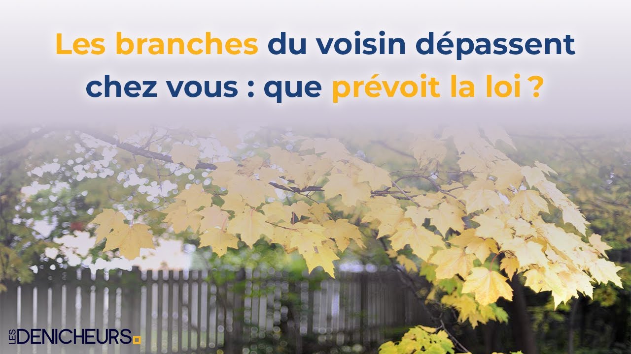 🌳 Les branches du voisin dépassent chez vous 🌲 que