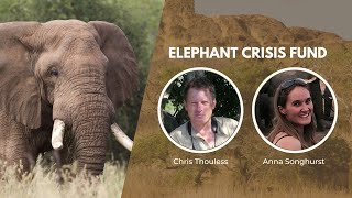 Securing a Future for Elephants | Wildlife Conservation Expo