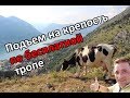 Котор Черногория. Подъем на Крепость святого Иоанна по старой тропе. ЧТО ПОСМОТРЕТЬ В КОТОРЕ