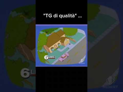 'TG di qualità'... #funnyshorts #funnyvideo #viralvideo #simpsons