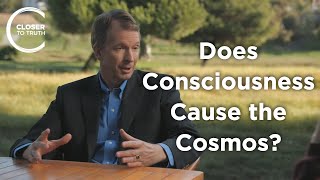 Donald Hoffman  Does Consciousness Cause the Cosmos?