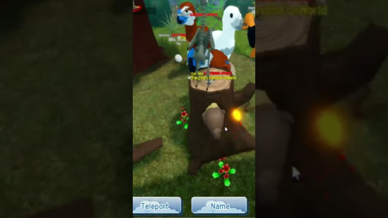 FEATHER FAMILY - NEW AWESOME PREHISTORIC FLIGHTLESS BIRD GASTORNIS FROM LATE PALEOCENE!!!