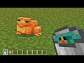 Frogs dan Tadpoles DITAMBAHKAN | Minecraft BETA 1.19 KELUAR!!!