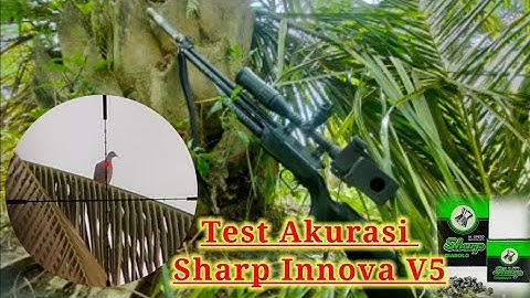 BERBURU BURUNG TEKUKUR JARAK JAUH (BEST LONG RANGE) Uklik sharp innova v5 😲🔞