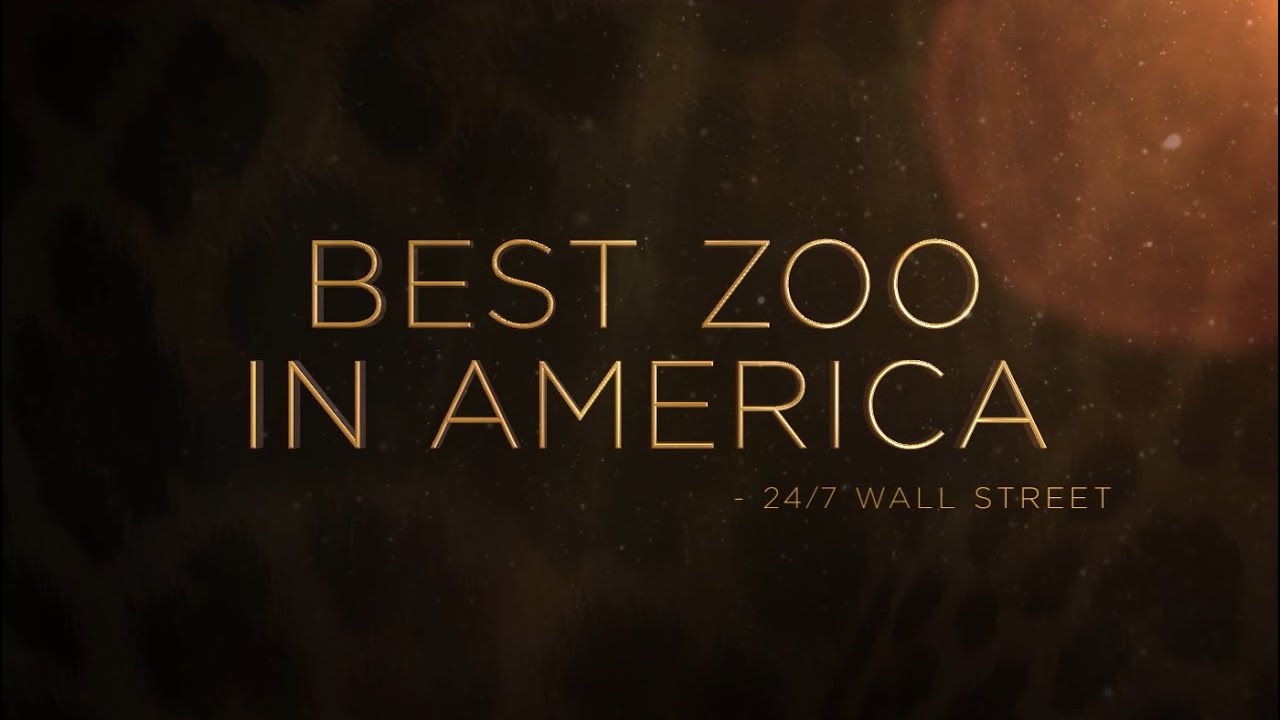 The Living Desert Zoo & Gardens – Top Zoo – 2020 – 30 sec Web TV Ad – Cord Media Co – Palm Desert