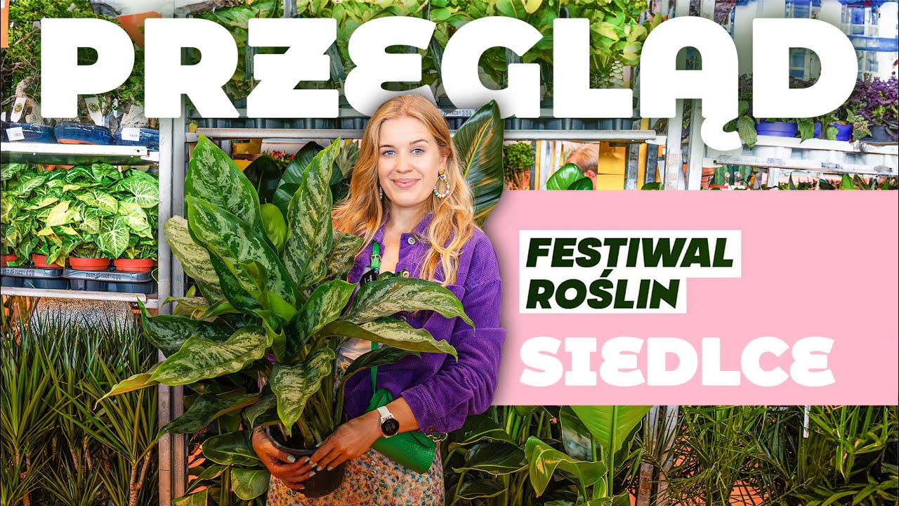 Festiwal Roślin - przegląd półek | Siedlce | jesienna edycja 2025