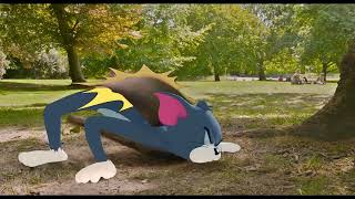 Tom & Jerry 2021 - Park Chase